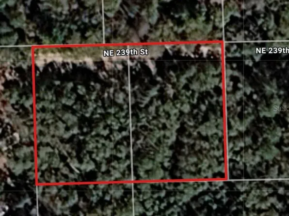 Lot 18 & 19 NE 239TH STREET LOT 18, FORT MC COY, FL 32134