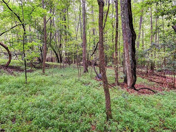 5th image of 200 Jolly Pond Rd