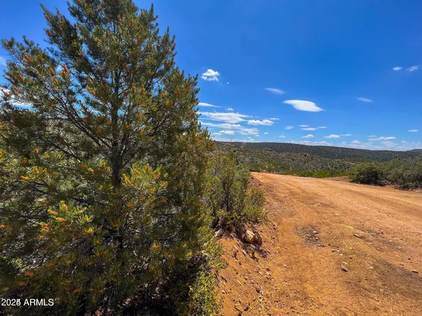 0 Velvet Antler 35.7 Acres -- #137, Kingman, AZ 86401