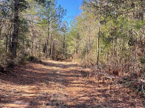 3rd image of 529 Sand Bottom Rd