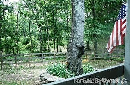 beautifully quiet ,peaceful woods