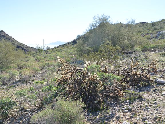 Homesite Center @ White Pole