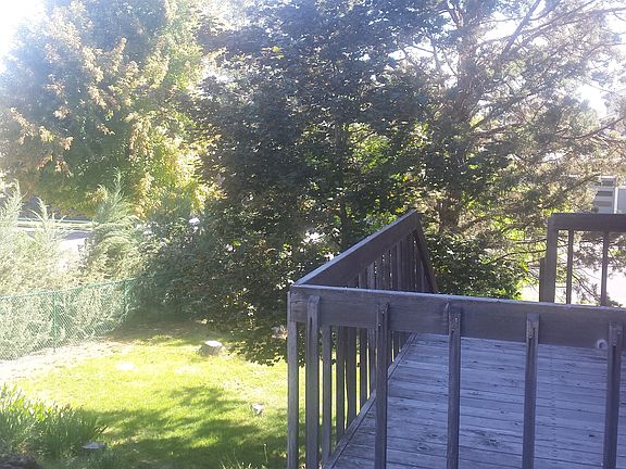 looking down at front yard