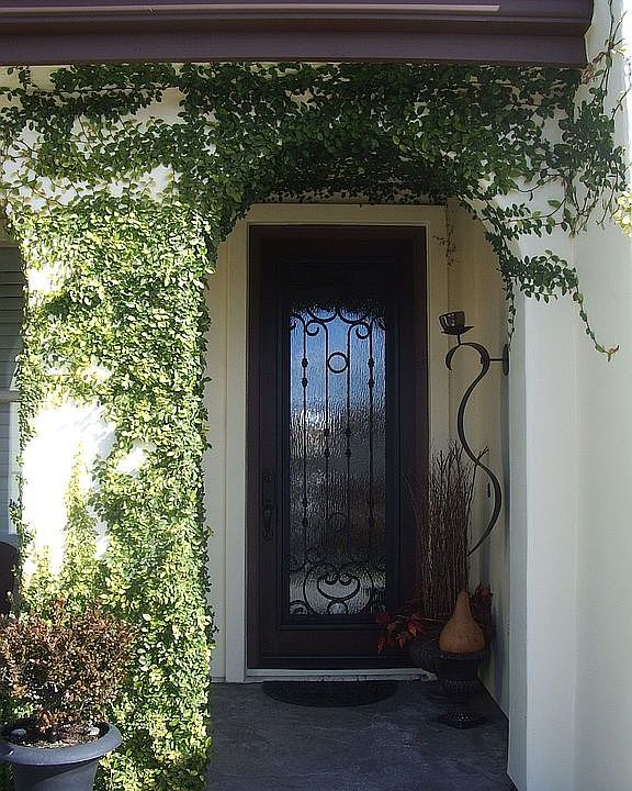 Custom Glass/Wrought Iron Front Door