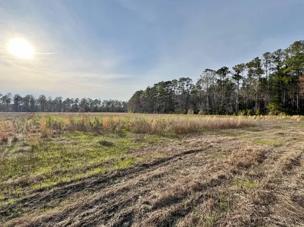 1586 Fisher Rd, Varnville, SC 29944