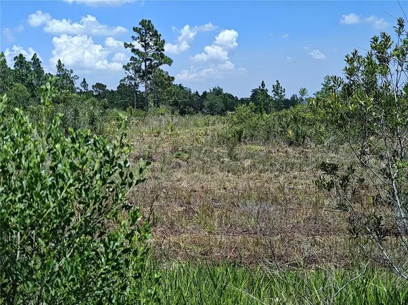 SHAKEDOWN STREET, ST CLOUD, FL 34773