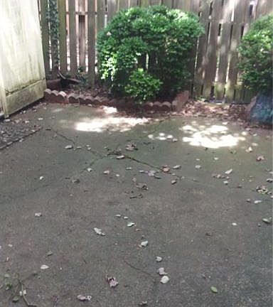 5th image of 1822 Carlton W