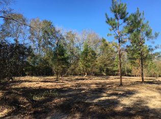 419 Matthews Rd, Carriere, MS 39426