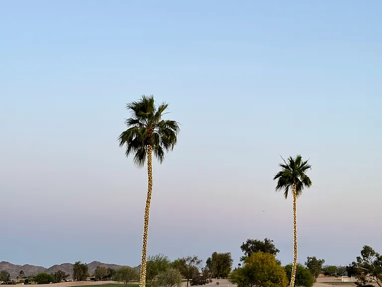 6162 S Huachuca Way — Photo 42