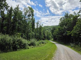 1131 Sisson Ter, Charleston, WV 25320