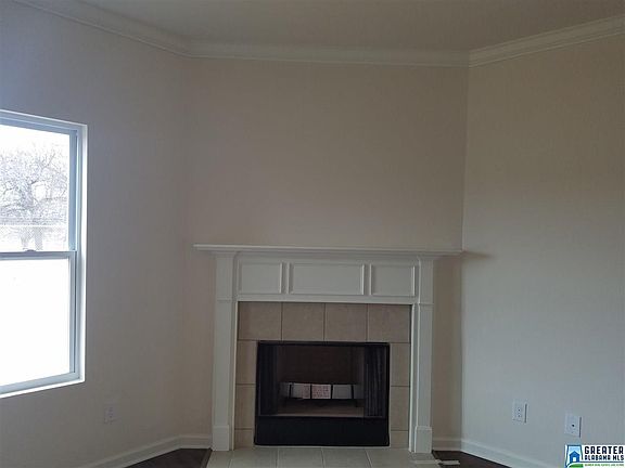 Wood Burning Fireplace