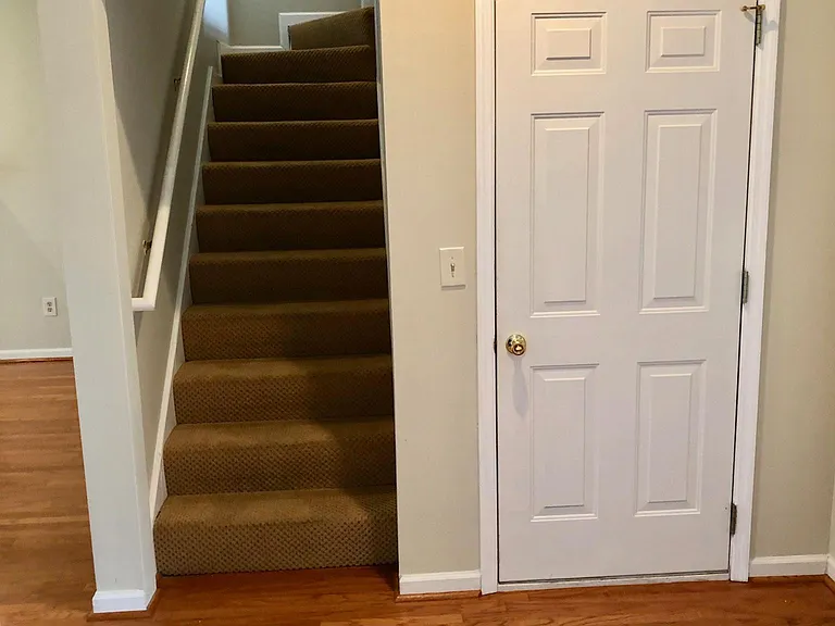 Back Steps