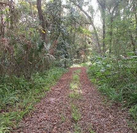 4th image of 32906 Darby Trails