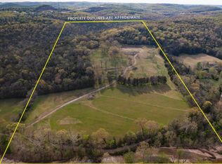 725 Dunn Rd, Walnut Shade, MO 65771