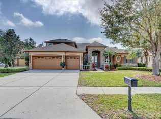 16831 Ivy Lake Dr, Odessa, FL 33556
