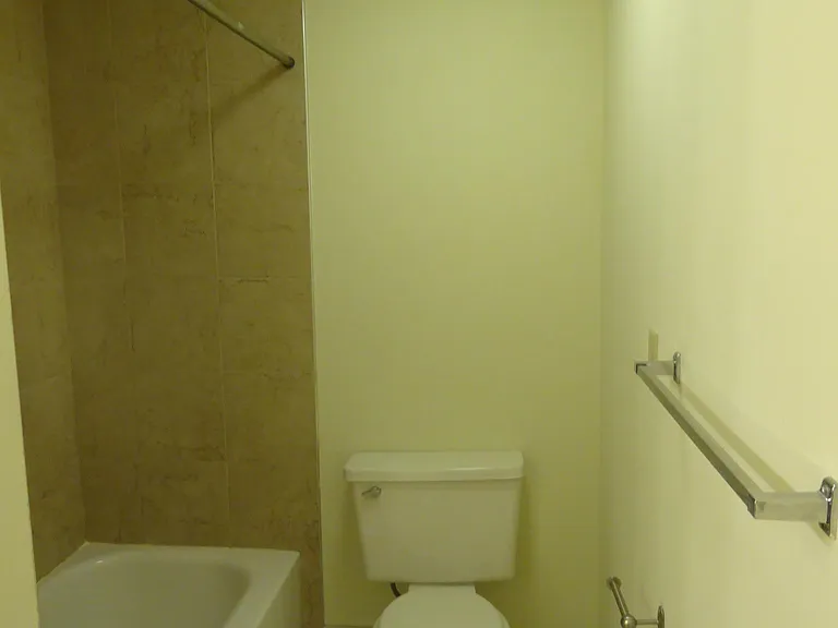 Nice clean updated full bath with energy efficient lights.