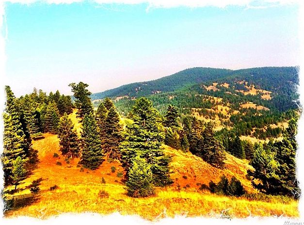 1st image of MP 292 Hwy20 #Lot20