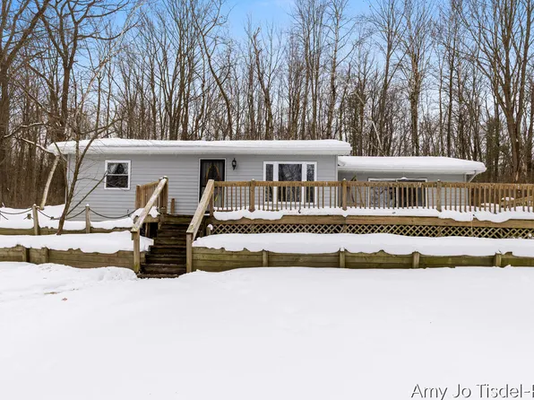 8411 Spring Rd, Stanton, MI 48888