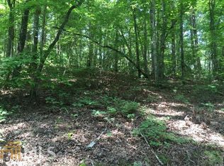 0 Wood Hen Way, Tiger, GA 30576