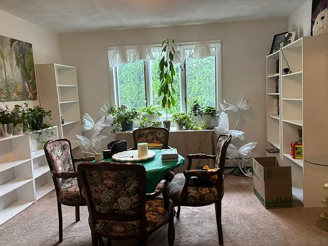 116 Pearl St #1 — Photo 5