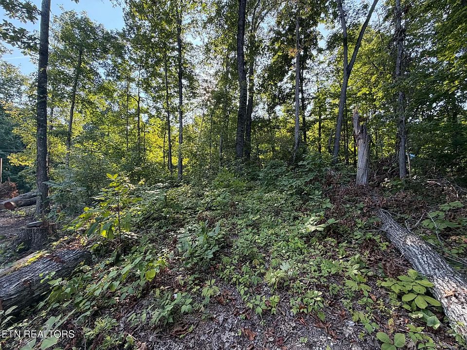 1st image of Center Ln