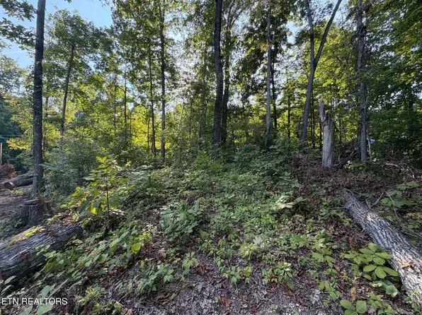 Center Ln, New Tazewell, TN 37825
