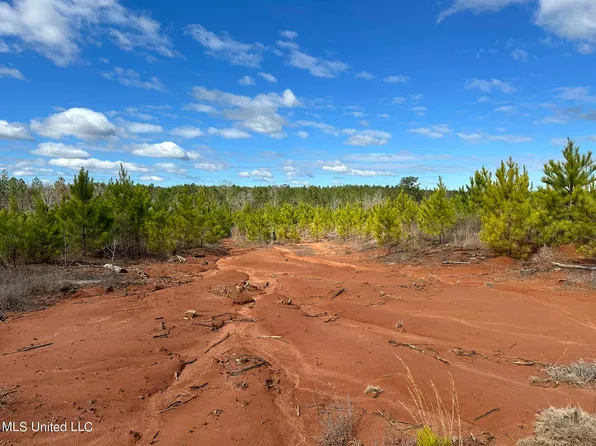 S County Line Rd, Preston, MS 39354