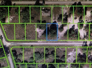 244 Summertime Ave, Lake Placid, FL 33852