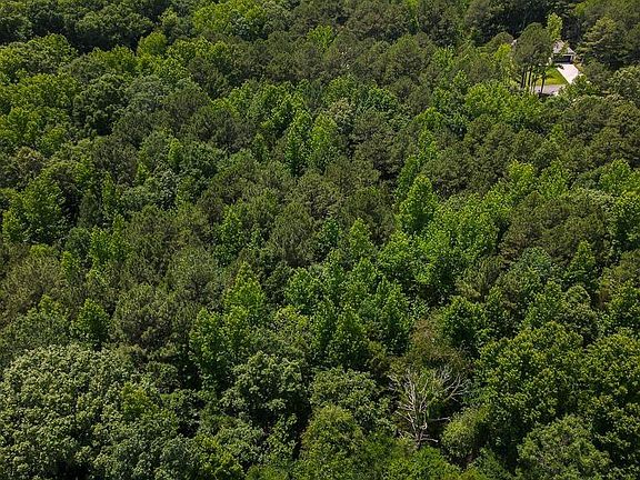 5th image of 0 Wilderness Rd