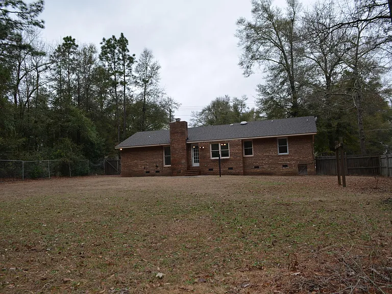 Back yard