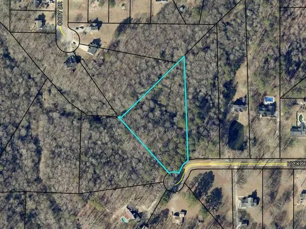 443 Hickory Ln, Griffin, GA 30223