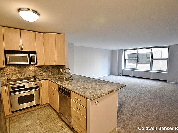 4th image of 777 N Michigan Ave APT 1208
