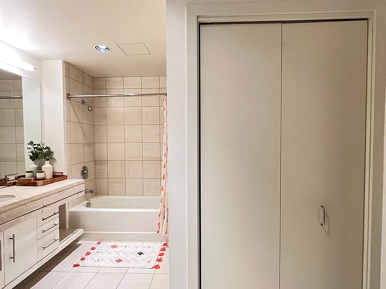 Main Bathroom Storage