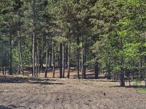 2nd image of 55/AC Mount Carmel Rd