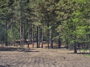 55/AC Mount Carmel Rd, Senoia, GA