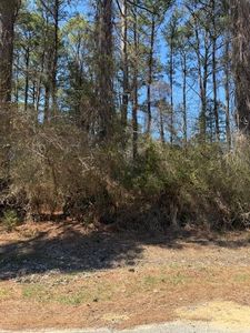 1102 Amidship Dr #1102, Greenbackville, VA, 23356
