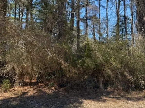 1102 Amidship Dr #1102, Greenbackville, VA 23356