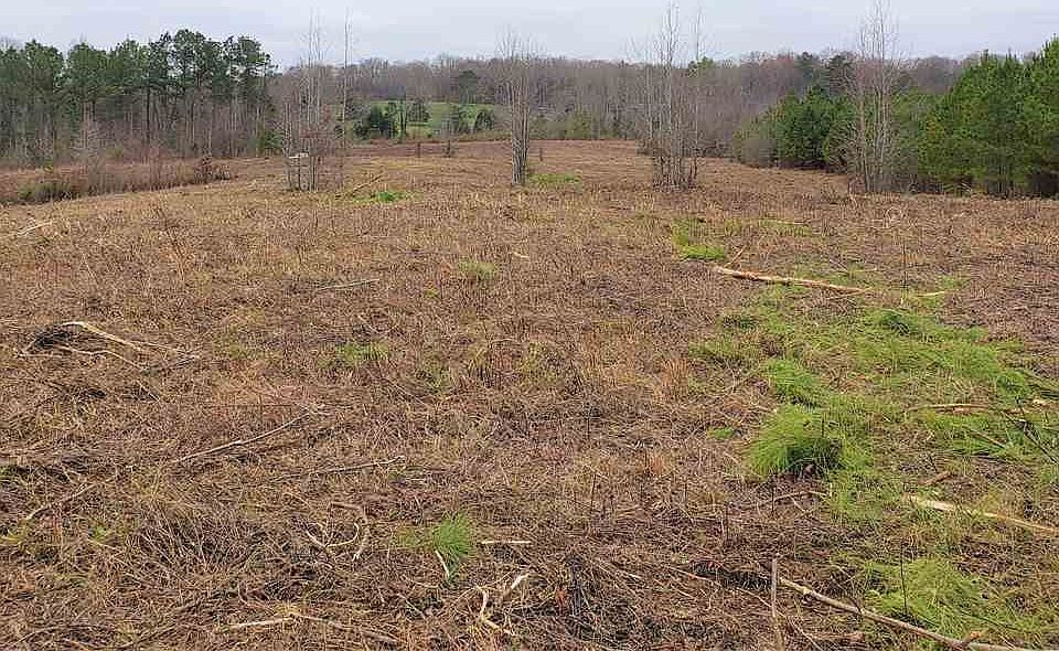 2nd image of 967 Of County Rd