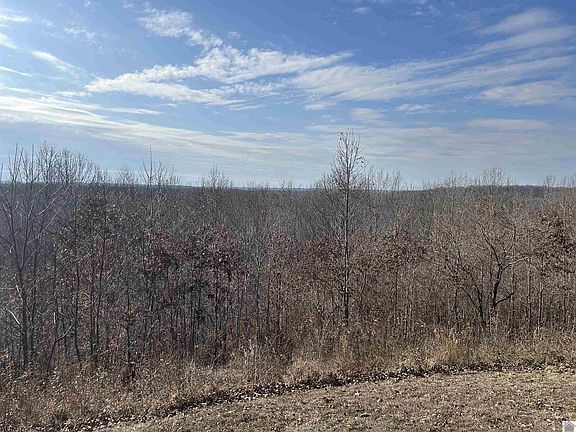 2nd image of 0 Chickasaw Bluff Rd #31-32-1.34