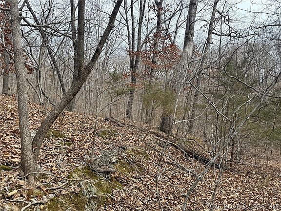 4th image of LOT 60 Pine Dr