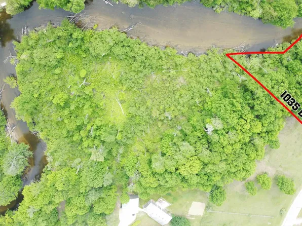 1035 Bonanza Ln, Weidman, MI 48893