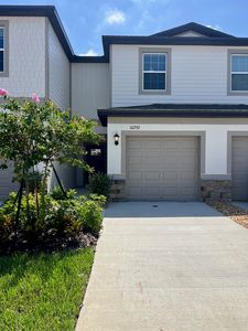 10292 Trumpet Honeysuckle Way, San Antonio, FL, 33576