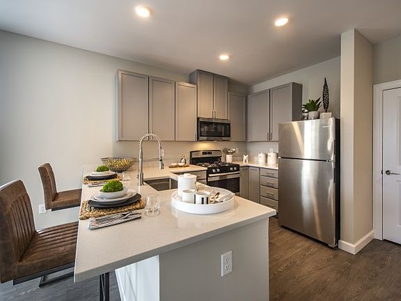 Gourmet-Inspired Kitchen