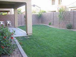 Back yard