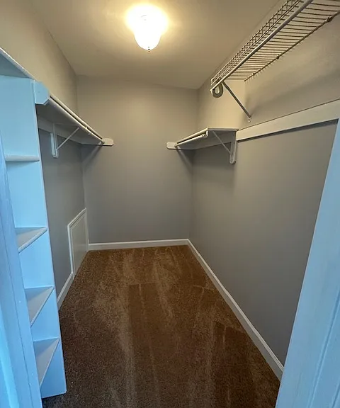 Master bed walk in closet