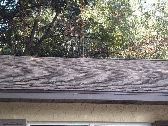 3rd image of 1114 Birchwood Ct