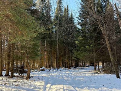 Kastner Rd, Tigerton, WI, 54486