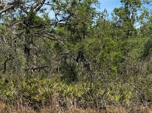 Lot 12 Blk 234 Blk 234 Palm Avenue, Indian Lake Estates, FL