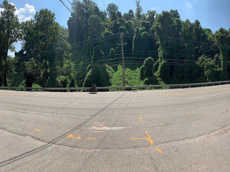 2nd image of Chapman Hwy