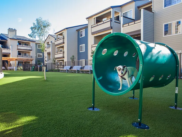 WAG dog park